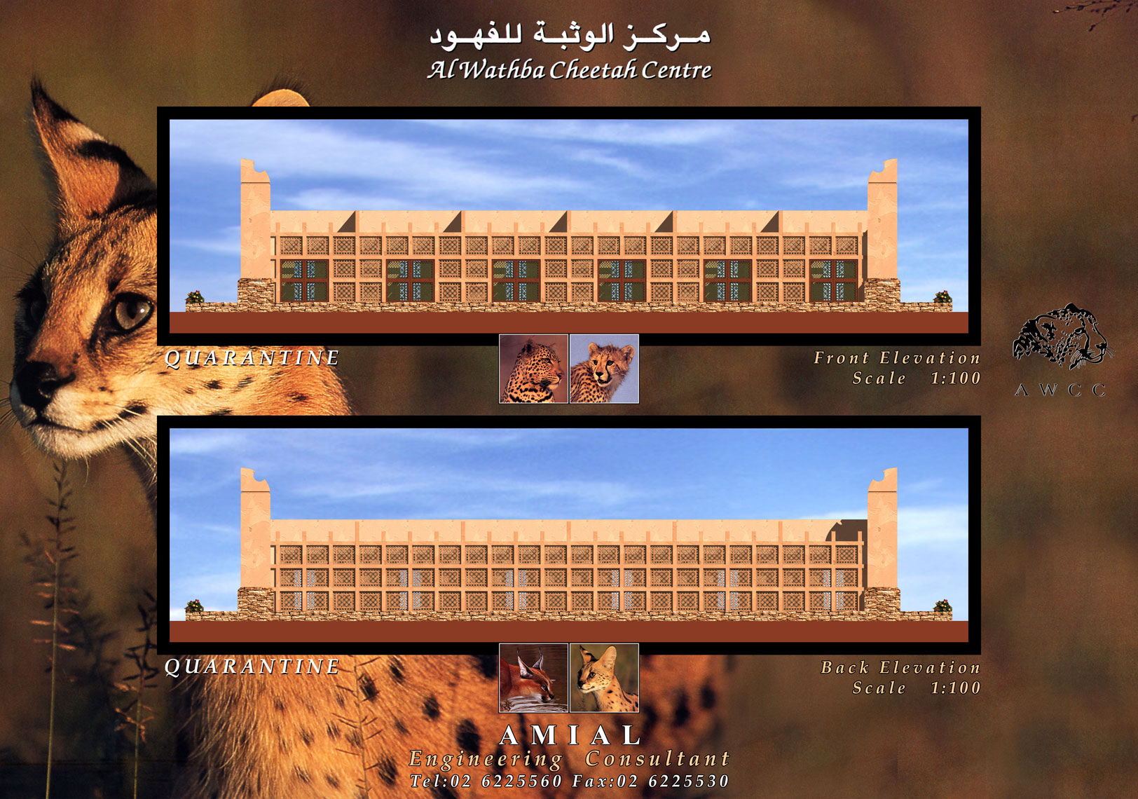 layout031